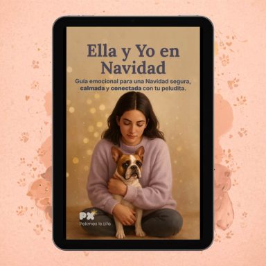 Ella y Yo en Navidad