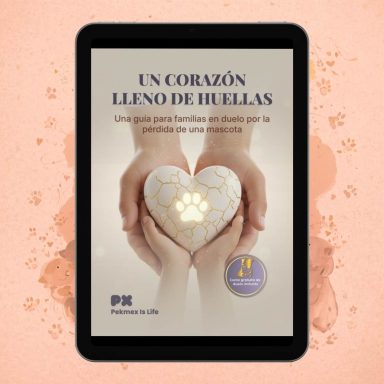 Un Corazón Lleno de Huellas